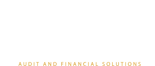 Strategic Leverage Partner · Audit and Financial Solutions
