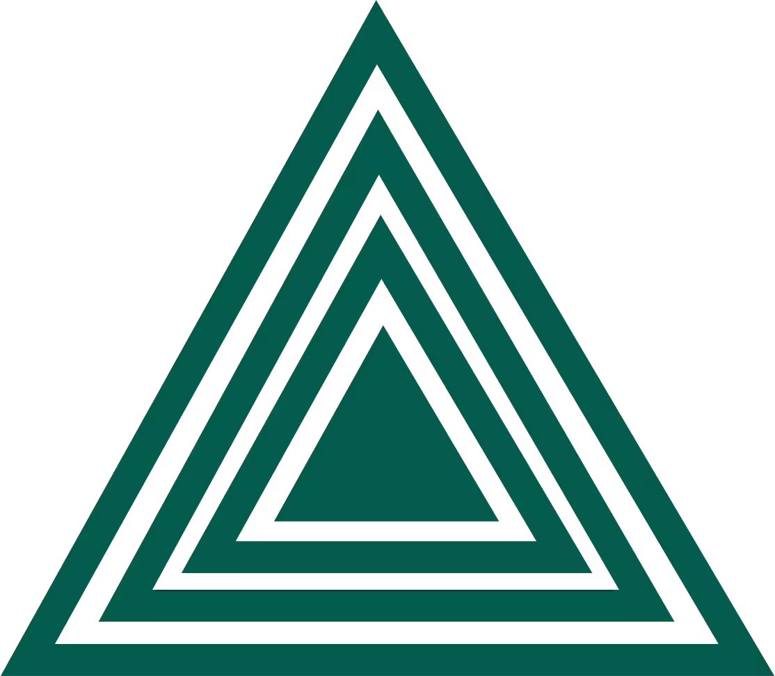 strategic leverage partner logo