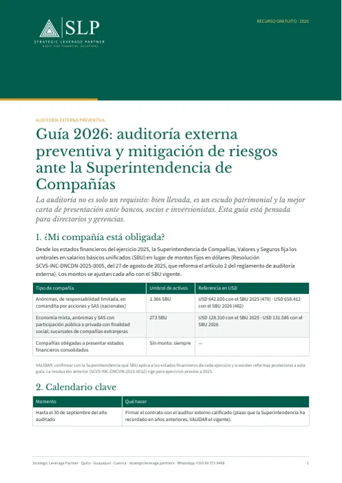 Portada: Auditoría externa preventiva